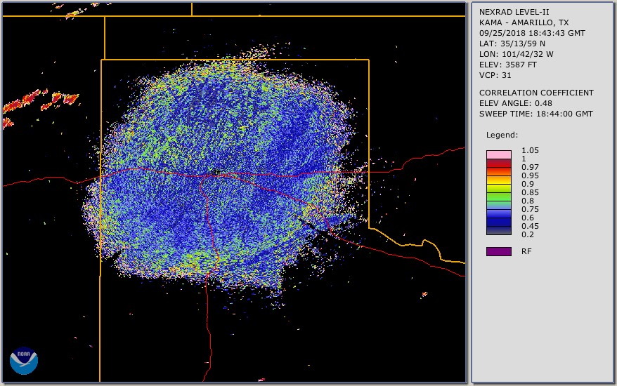 The blue in this radar image depicts what is estimated to be several million monarch butterflies passing over the Texas Panhandle on September 25, 2018