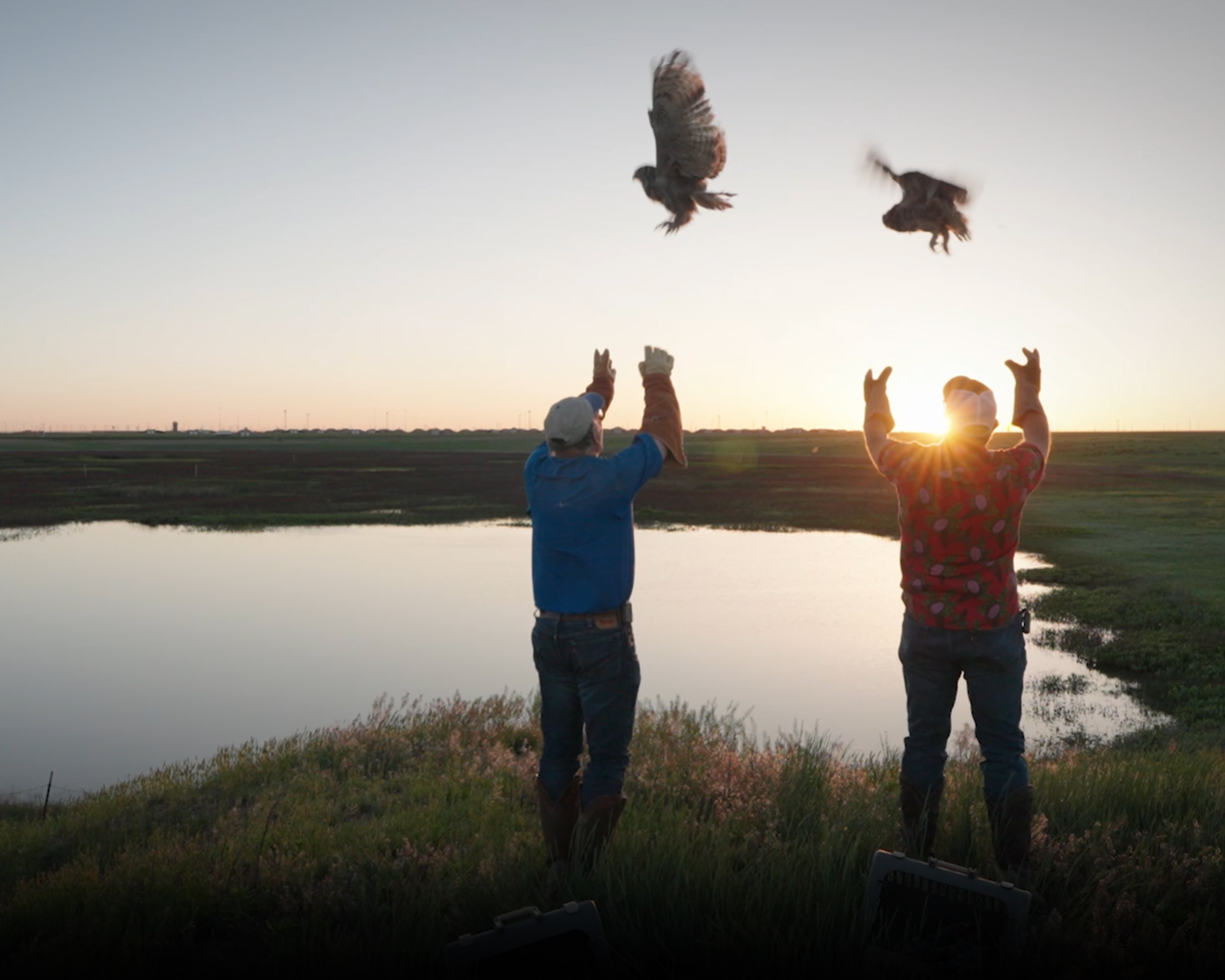Monty Schoenhals and Kevin Baird release Owlbert and his rehab partner at Pantex