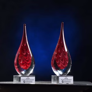 Pantex received two awards for its life-saving blood donations efforts in 2025